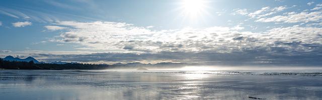 上門龍婿葉辰蕭初然_第8章 六千萬份額