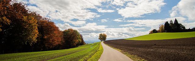 都市神醫葉辰很囂張_第224章 我有一劍，可斬天下人！（第十一更！求訂閱！）