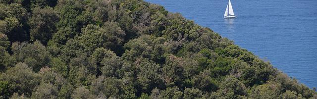 都市神醫葉辰很囂張_第12175章 墻倒眾人推