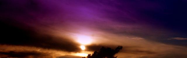 神奇寶貝：訓練家從賞金獵人開始繁體免費章節免費享，期待您的品鑒