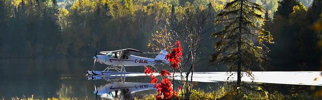 上門龍婿葉辰蕭初然_第3263章 不殺之恩