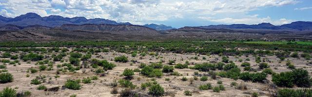 上門龍婿葉辰蕭初然_第447章 怎么這么像？