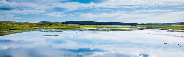 都市神醫葉辰很囂張_第12080章 挫骨揚灰