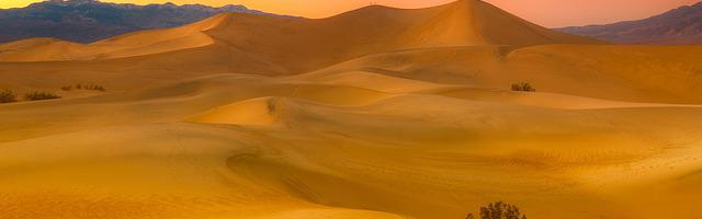 上門龍婿葉辰蕭初然_第3171章 把蕭常坤撈回來