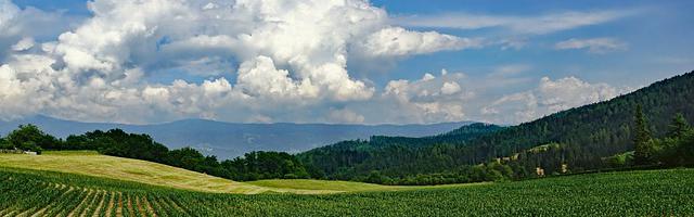我爹是袁術？可我想當曹賊繁體免費章節免費享，期待您的品鑒