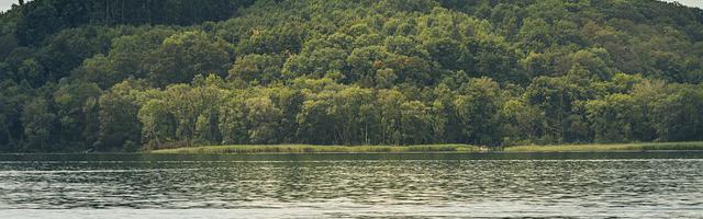 上門龍婿葉辰蕭初然_第203章 天龍降世！