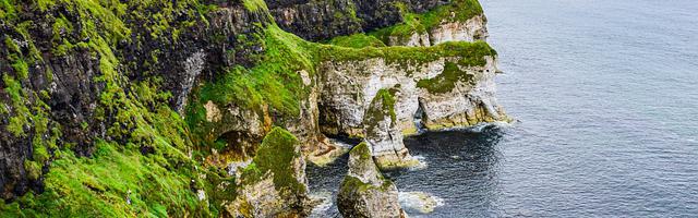 上門龍婿葉辰蕭初然_第80章 天大的冤枉