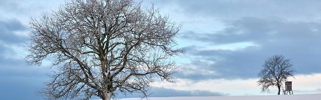 荒野逃生女主播繁體免費章節免費享，期待您的品鑒