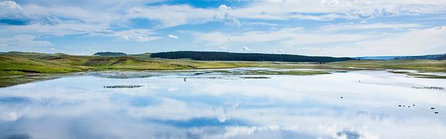 上門龍婿葉辰蕭初然_第226章 本性難移