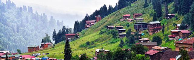 上門龍婿葉辰蕭初然_第3318章 盡在掌控