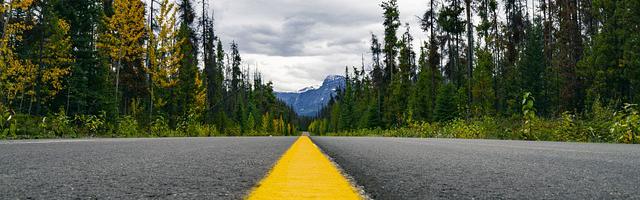 都市神醫葉辰很囂張_第86章 誰是獵人！誰是獵物！（求推薦票！）