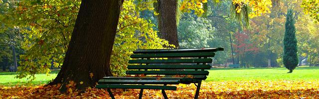 都市神醫葉辰很囂張_第 11843 章 我們怎么辦