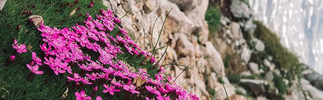 公路求生，我有提示系統繁體免費章節免費享，期待您的品鑒