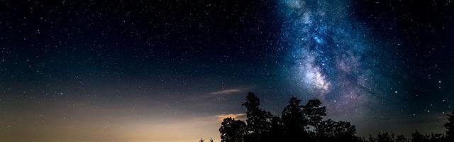 都市神醫葉辰很囂張_第9章 我的人誰敢動？