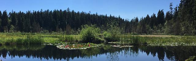 海賊之洛克斯一番隊長繁體免費章節免費享，期待您的品鑒