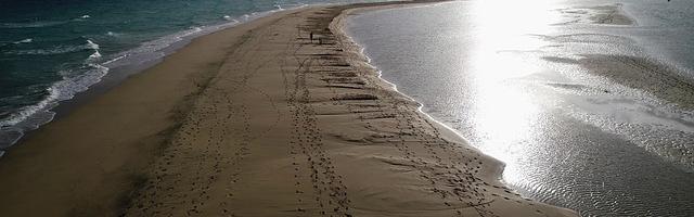 回到三國當黃巾繁體免費章節免費享，期待您的品鑒