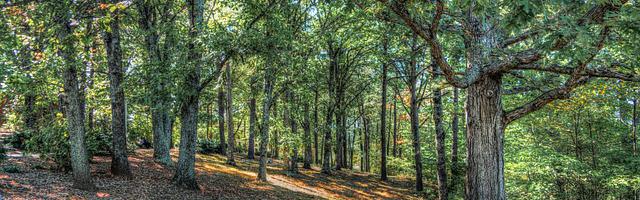 上門龍婿葉辰蕭初然_第3352章 折現