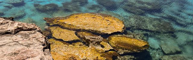 都市神醫葉辰很囂張_第3章 相識