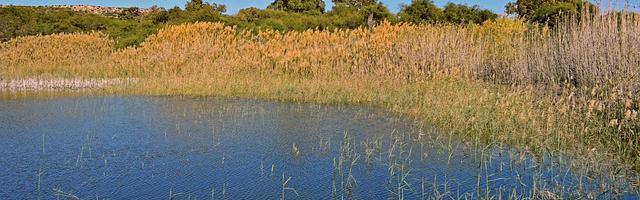 都市神醫葉辰很囂張_第12308章 神權