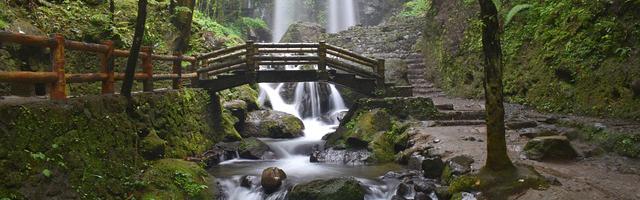 眾神世界繁體免費章節，邀您共賞