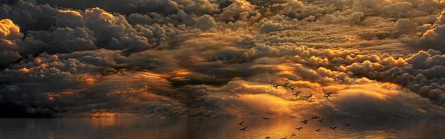 網游之天書世界繁體免費章節免費享，期待您的品鑒