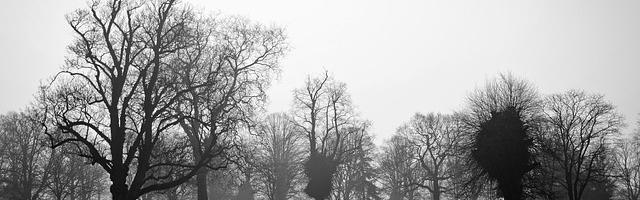 全球驚悚：我在詭秘世界玩嗨了繁體免費章節免費享，期待您的品鑒