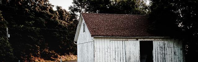 上門龍婿葉辰蕭初然_第324章 為吳家效力