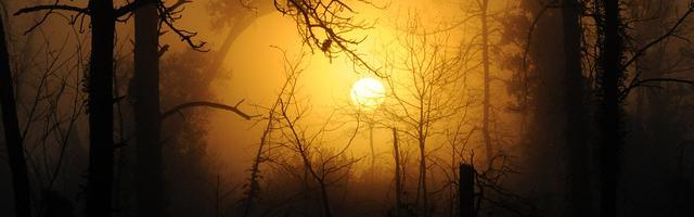 都市神醫葉辰很囂張_第158章 言出必行！（加更！）