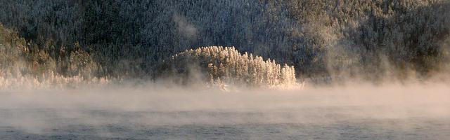 在生存游戲里當菜鳥繁體免費章節免費享，期待您的品鑒