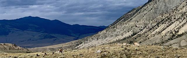 上門龍婿葉辰蕭初然_第3200章 地網