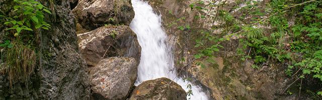 都市神醫葉辰很囂張_第12190章 機緣
