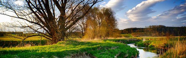 上門龍婿葉辰蕭初然_第57章 血絲玉