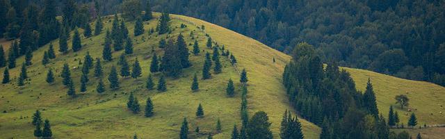 網游三國之鐵血征程繁體免費章節免費享，期待您的品鑒