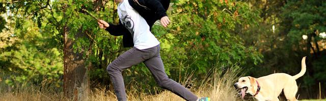 都市神醫葉辰很囂張_第 11856 章 破局之法