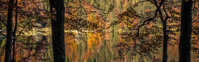 上門龍婿葉辰蕭初然_第3362章 不完全坦白