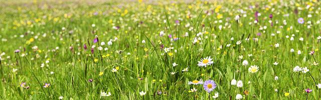 上門龍婿葉辰蕭初然_第3234章 來得早不如來得巧