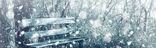 女主攻略：碾壓炮灰的N種方式繁體免費章節，邀您共賞