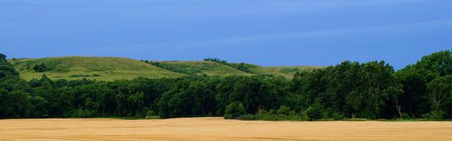 都市神醫葉辰很囂張_第32章 煉制丹藥！