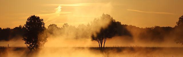 上門龍婿葉辰蕭初然_第3068章 責任與擔當