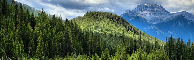 黑霧之下繁體免費章節，邀您共賞