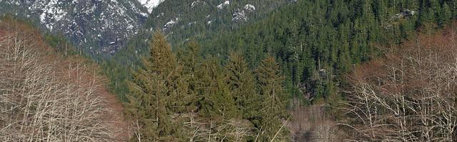 都市神醫葉辰很囂張_第312章 恐懼！（四更！）