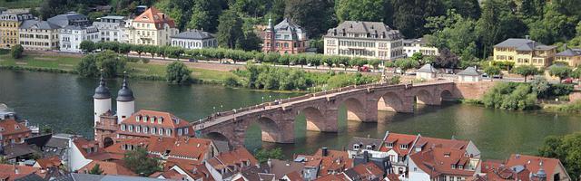 上門龍婿葉辰蕭初然_第2675章 發掘線索