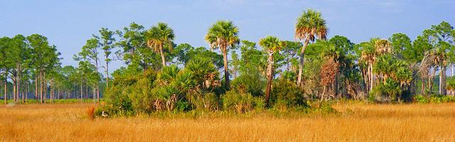 上門龍婿葉辰蕭初然_第3214章 果斷和堅決