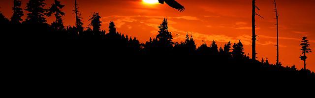 網游野蠻與文明繁體免費章節免費享，期待您的品鑒