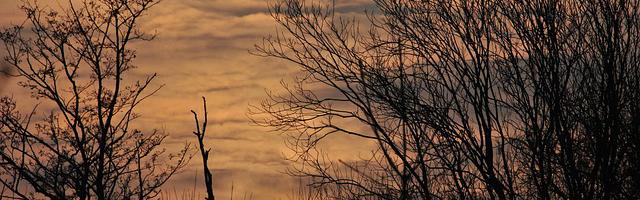 上門龍婿葉辰蕭初然_第3271章 無所遁形