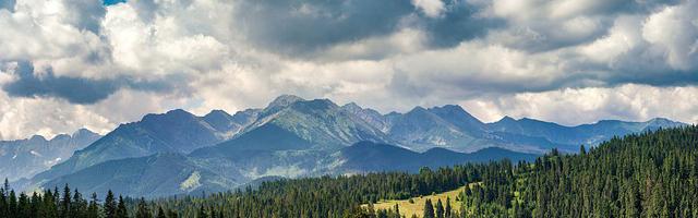 上門龍婿葉辰蕭初然_第106章 劃清界限！