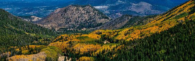 新書繁體免費章節免費享，期待您的品鑒