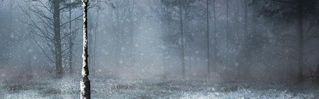 上門龍婿葉辰蕭初然_第87章 大師落敗