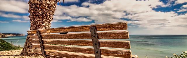 走進不科學繁體免費章節，邀您共賞