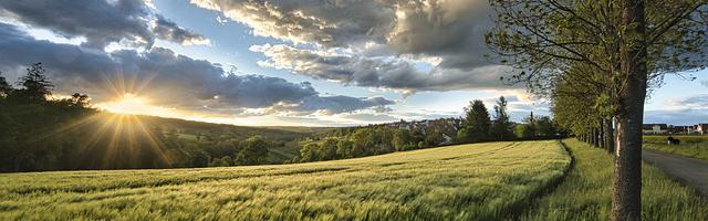 天火大道繁體免費章節，邀您共賞